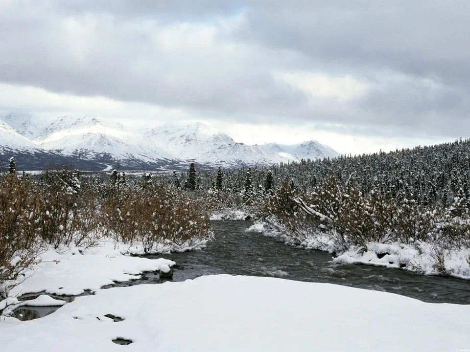 A wide river flows through a snow-covered landscape with snow-capped mountains in the background and trees on the right.