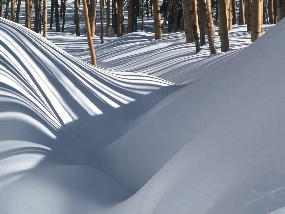 Abstract patterns of light and shadow on undulating snowdrifts in a winter aspen forest.
