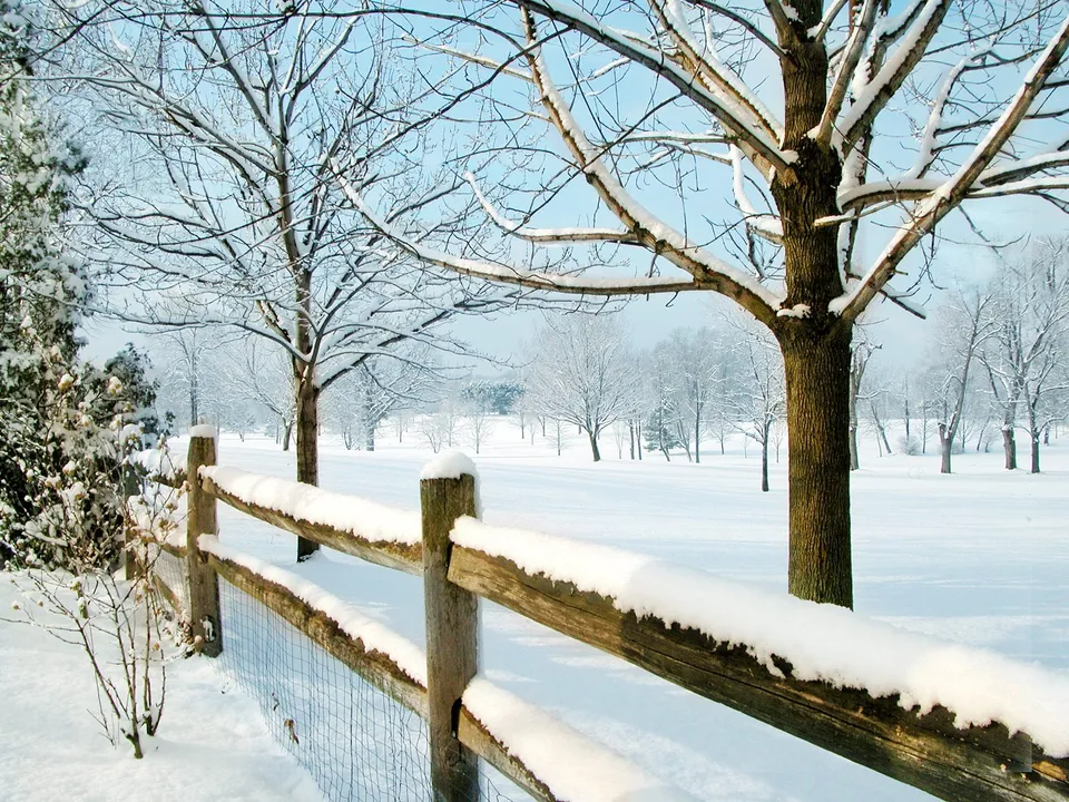 A snow-covered wooden fence runs diagonally across a winter landscape with bare trees under a clear blue sky.