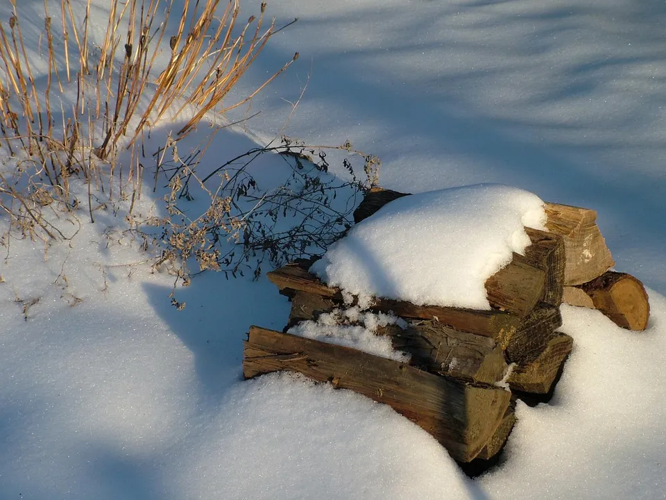 A pile of firewood covered in snow sits next to dry winter grasses, with long shadows cast across the snow.