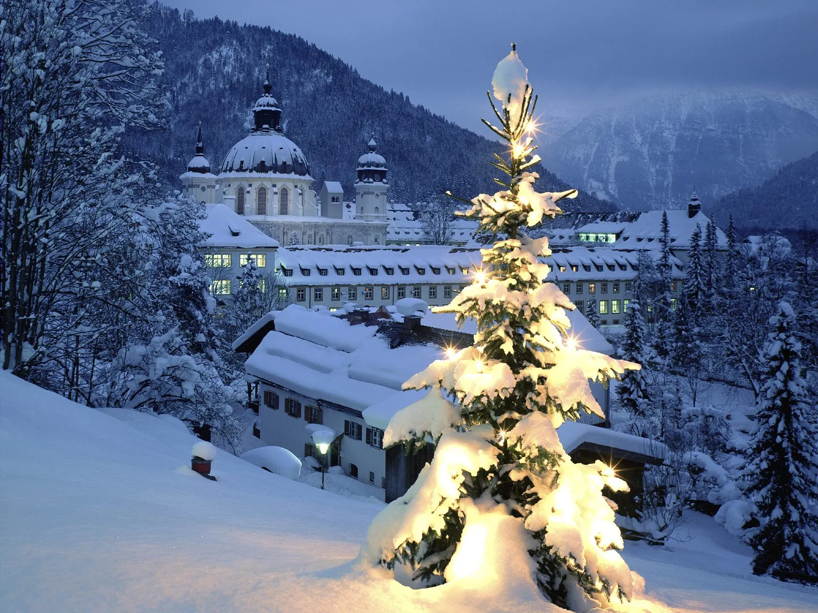 A snow-covered landscape with a decorated Christmas tree in the foreground and a large, illuminated building in the background.