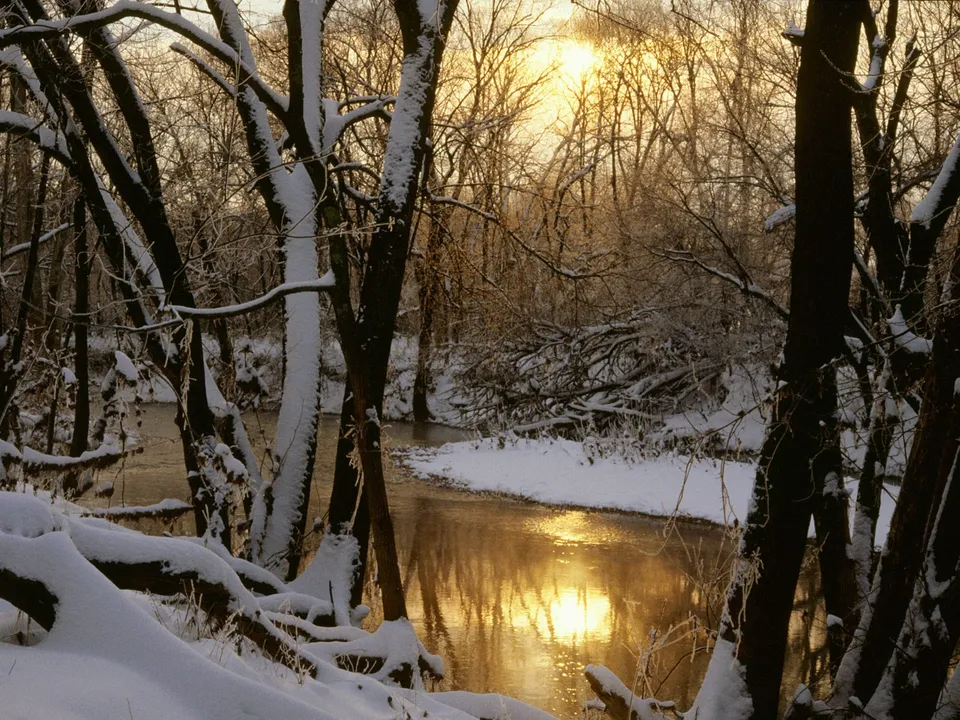 A serene winter scene with a snow-covered forest and a river reflecting the golden sunlight.