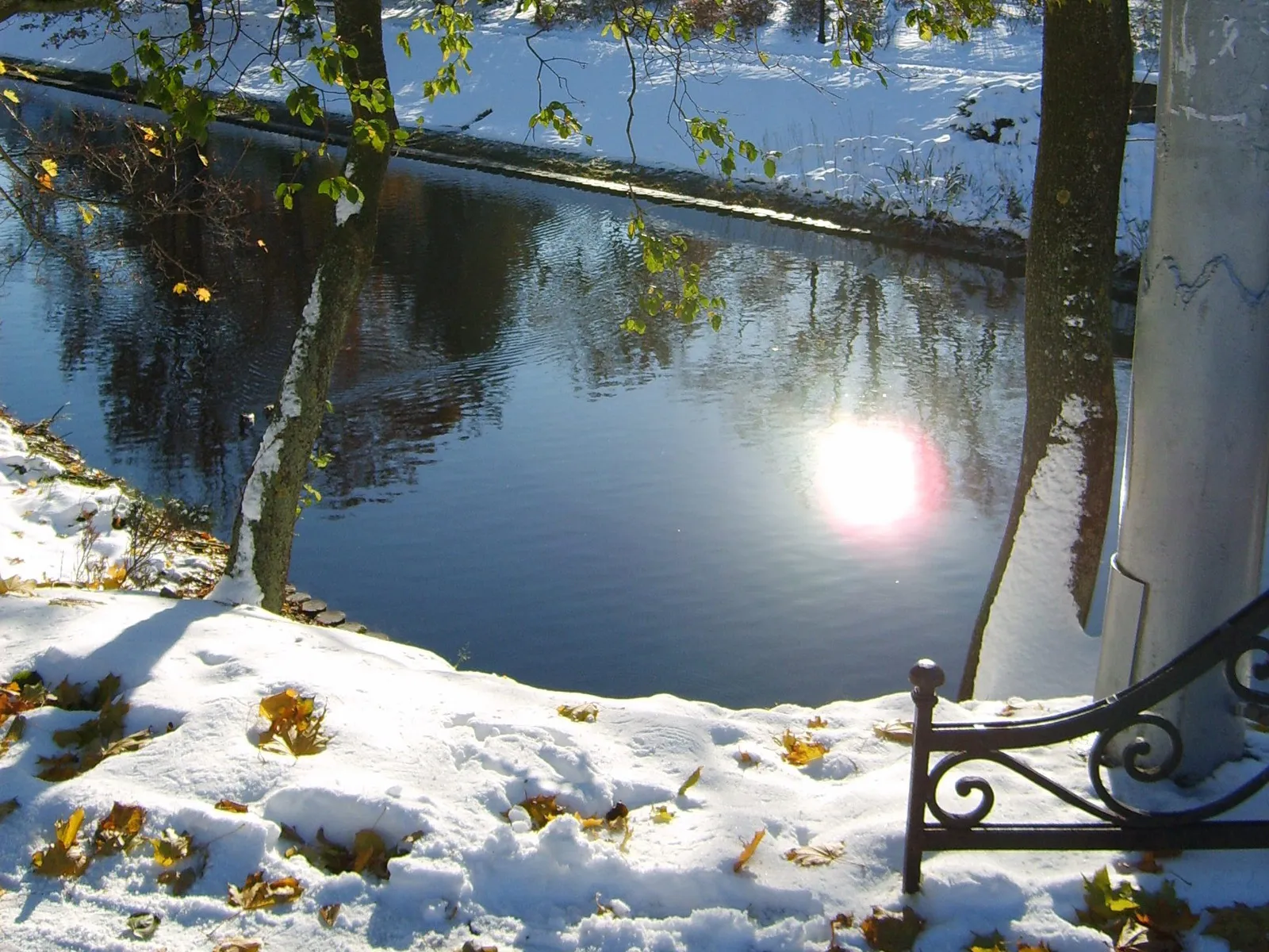 A snowy riverbank with trees and reflections of trees in the water, with the sun glinting.