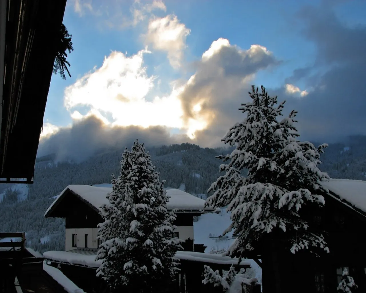 A winter scene with snow-covered trees in the foreground and mountains in the background under a cloudy sky.