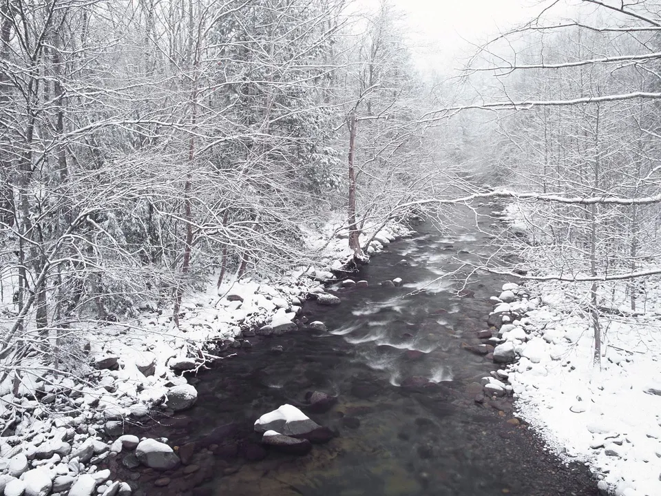 A snow-covered forest surrounds a flowing stream during winter.