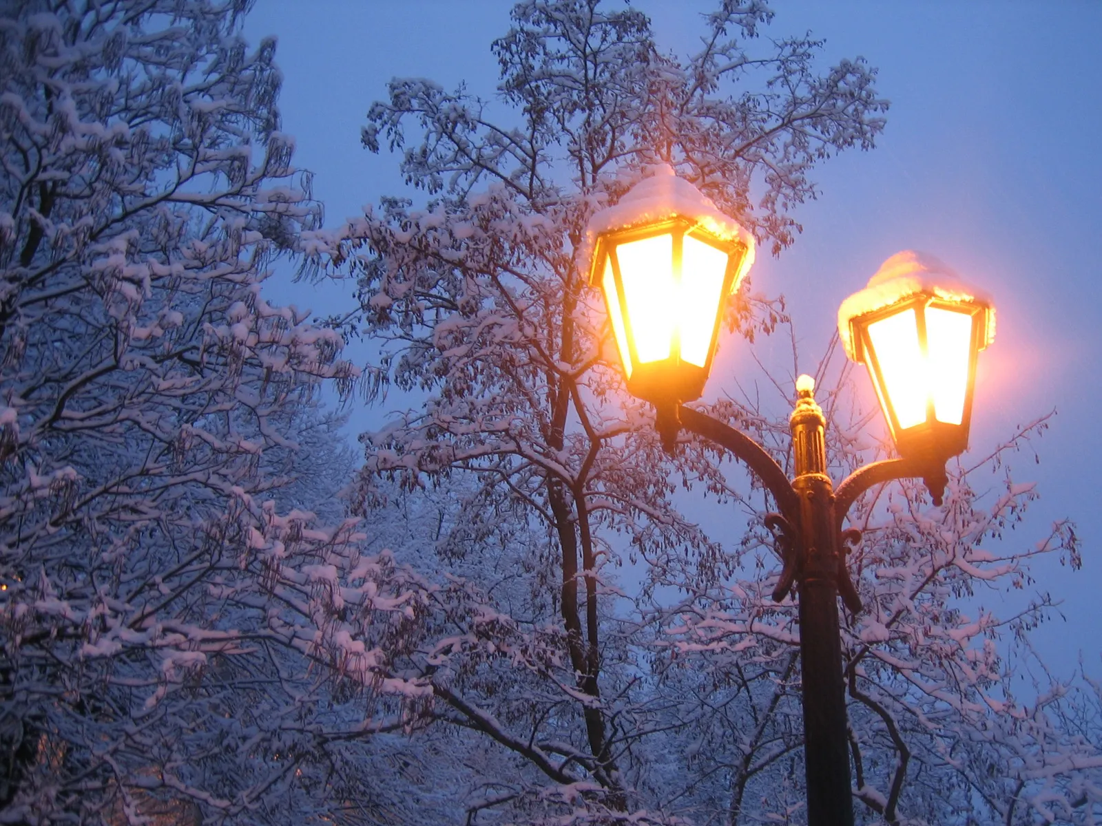 Two ornate street lamps glow warmly against a backdrop of snow-covered trees and a twilight sky.