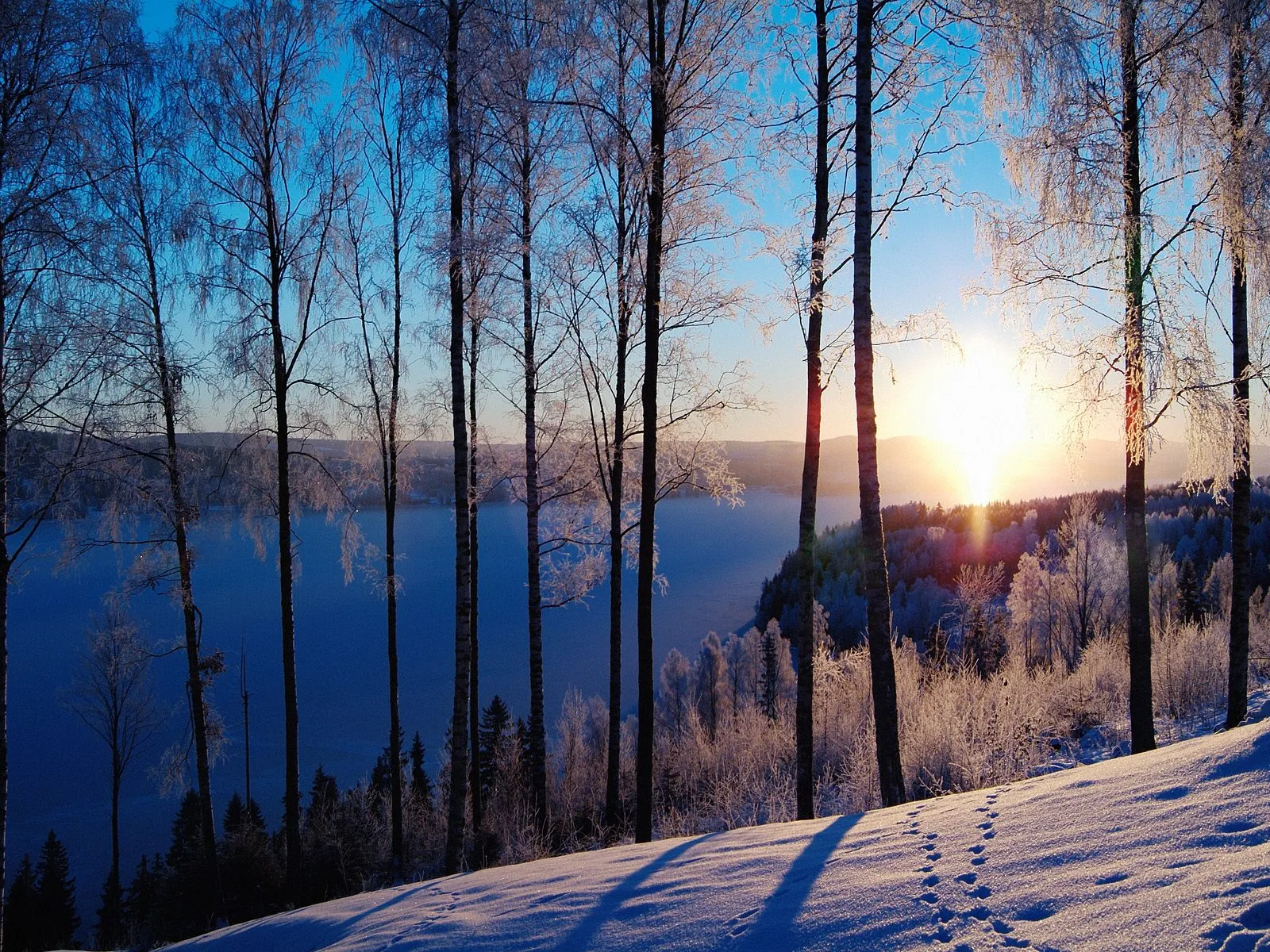 A winter sunrise casts a warm glow over a snow-covered landscape with a frozen lake and silhouetted trees.