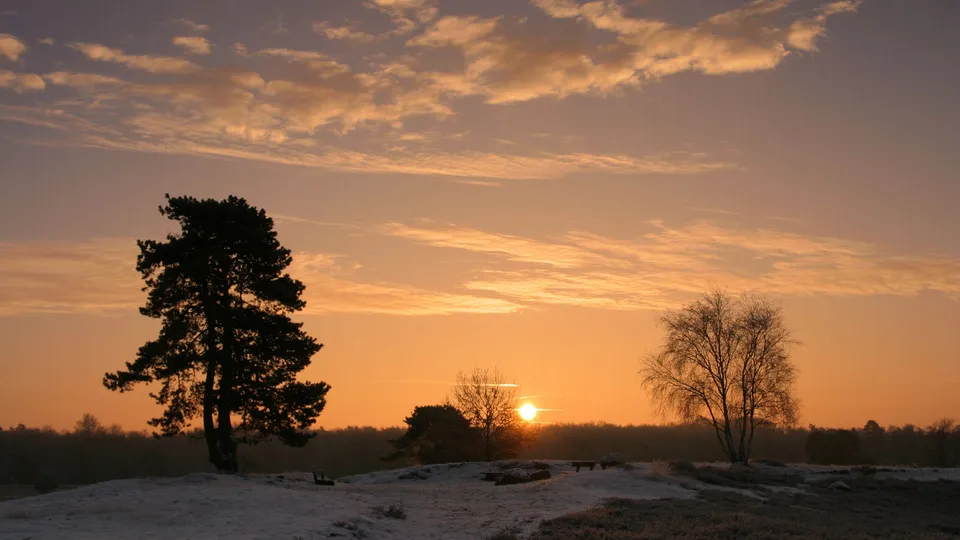 A winter sunrise casts a warm orange glow across a cloudy sky over a snow-dusted heath with silhouetted trees.