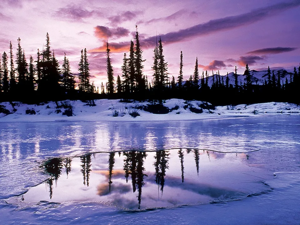 A frozen river reflects a dramatic purple and pink sunset sky over a silhouetted pine forest.