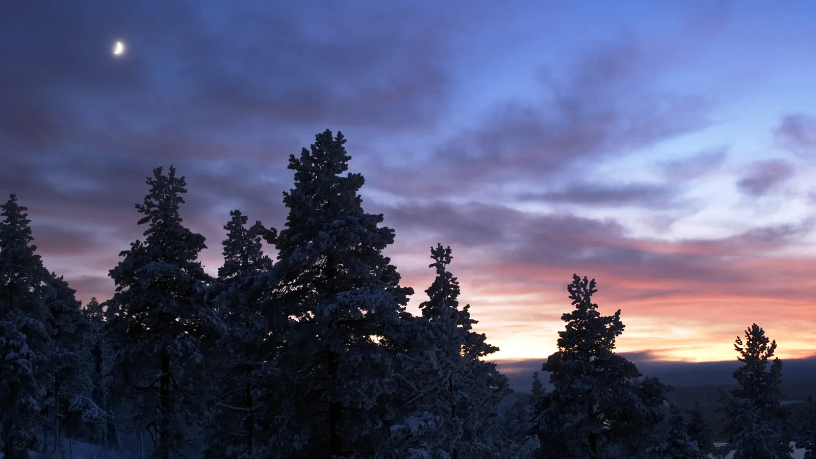 A crescent moon hangs in a twilight sky above snow-covered pine trees during a winter sunset.