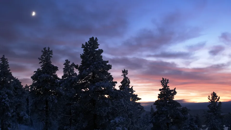A crescent moon hangs in a twilight sky above snow-covered pine trees during a winter sunset.