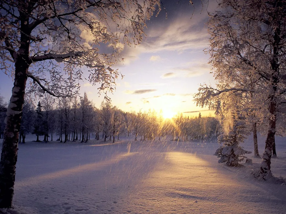 A golden sunset shines through snow-covered trees in a winter landscape with falling snow.