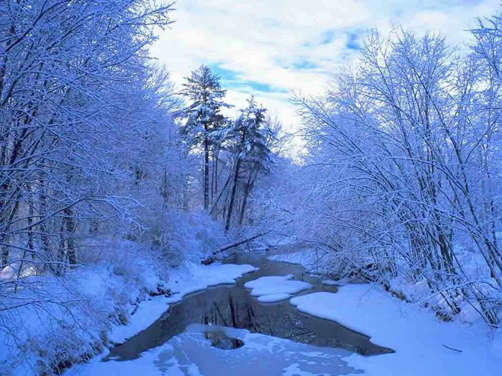 A river flows through a snow-covered forest, with trees heavily laden with snow.