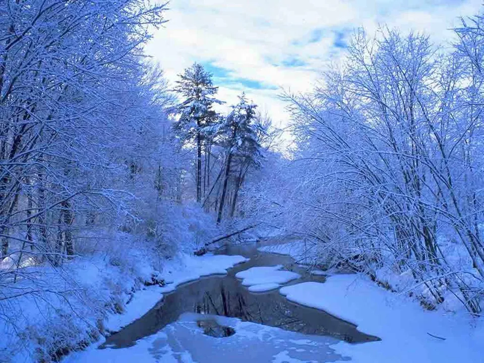 A river flows through a snow-covered forest, with trees heavily laden with snow.