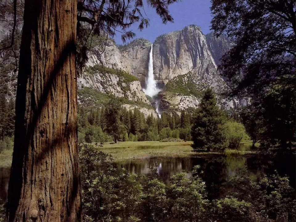 Yosemite Falls cascades down a rock formation, reflected in a body of water.