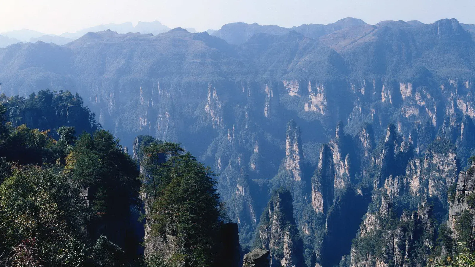 A vast landscape of towering sandstone pillars covered in lush green vegetation, shrouded in a light mist.