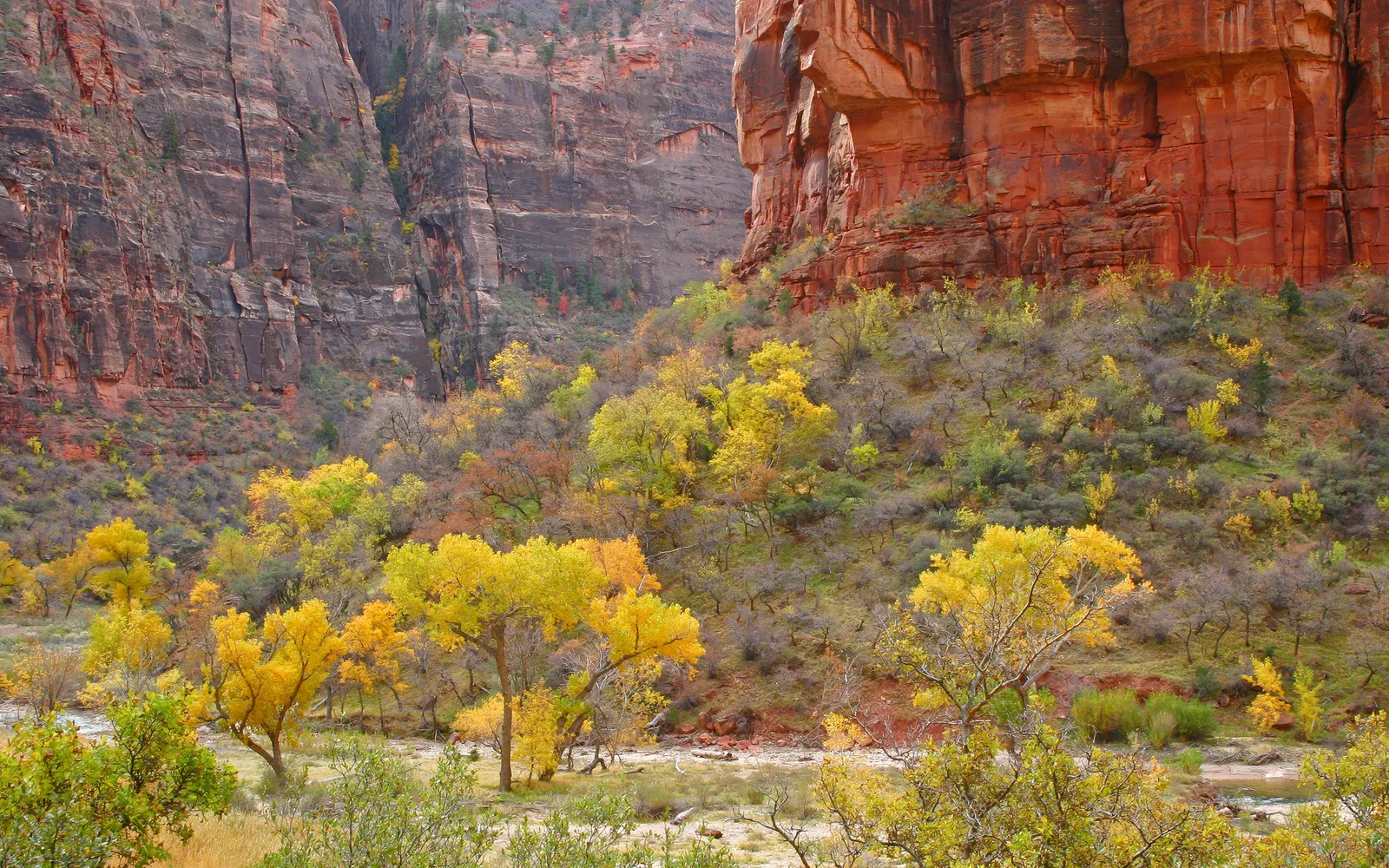 A canyon landscape with towering red rock cliffs and a valley filled with trees displaying vibrant autumn foliage.