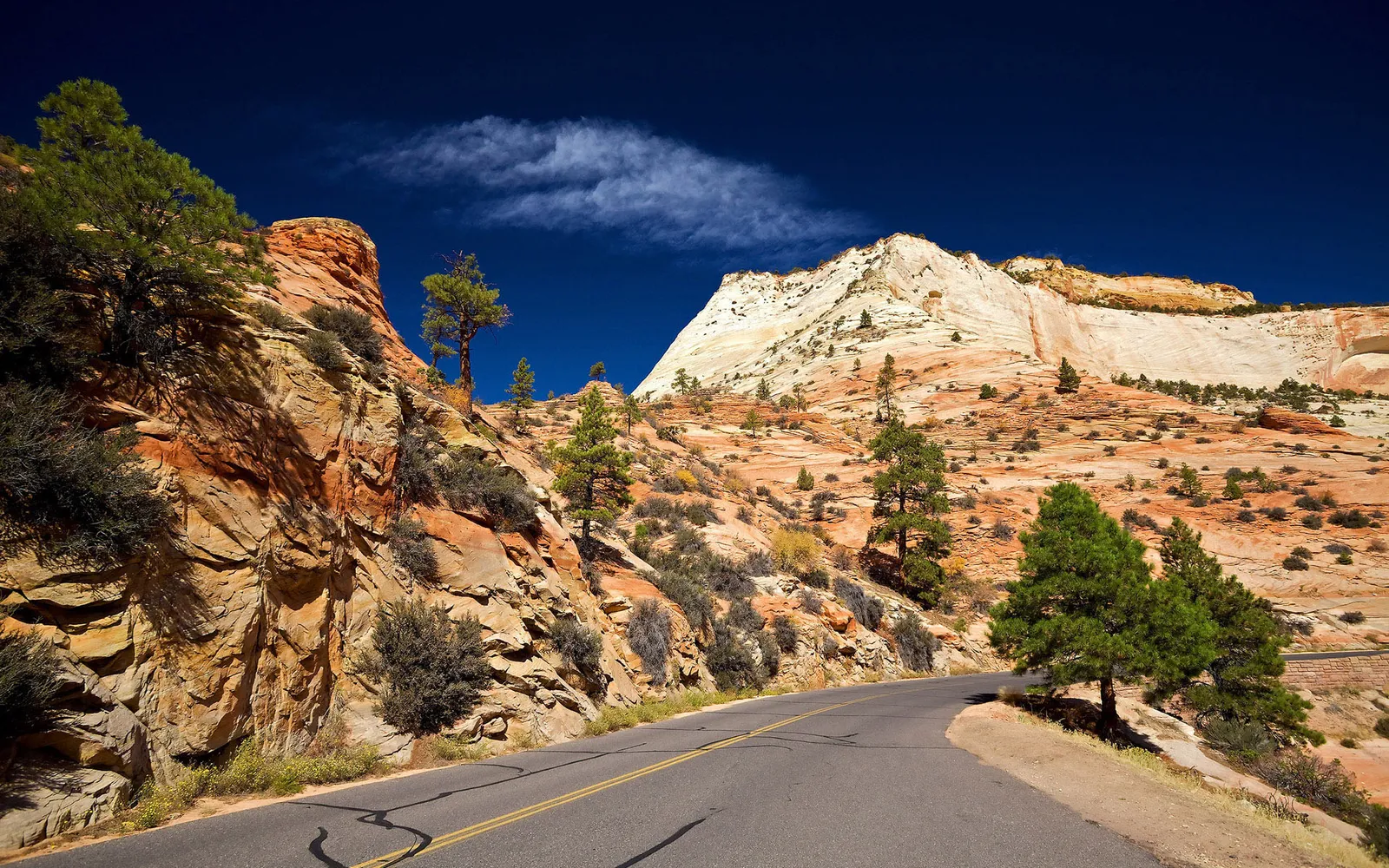 A paved road curves through a desert landscape with red rock formations and green pine trees under a deep blue sky.