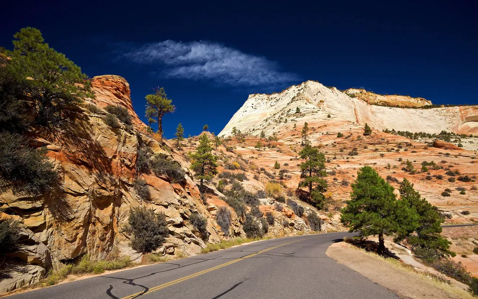 A paved road curves through a desert landscape with red rock formations and green pine trees under a deep blue sky.